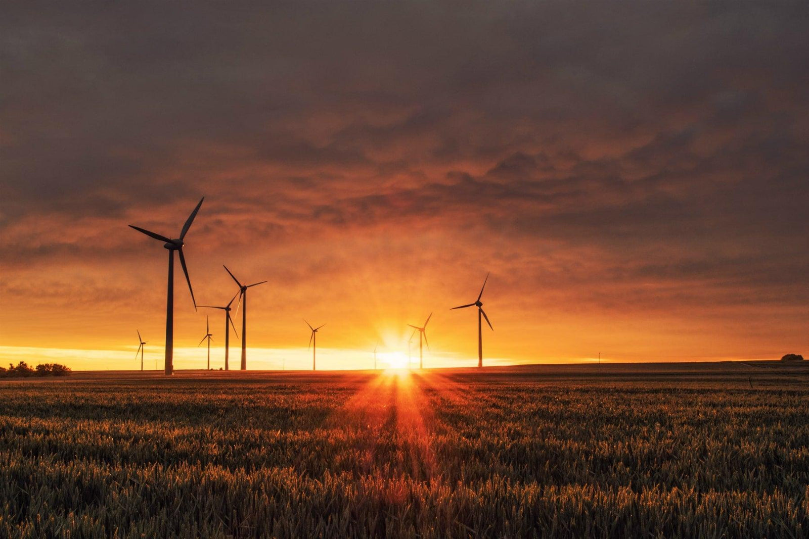 What Is Life-Cycle Approach In LEED? | LEED Blog