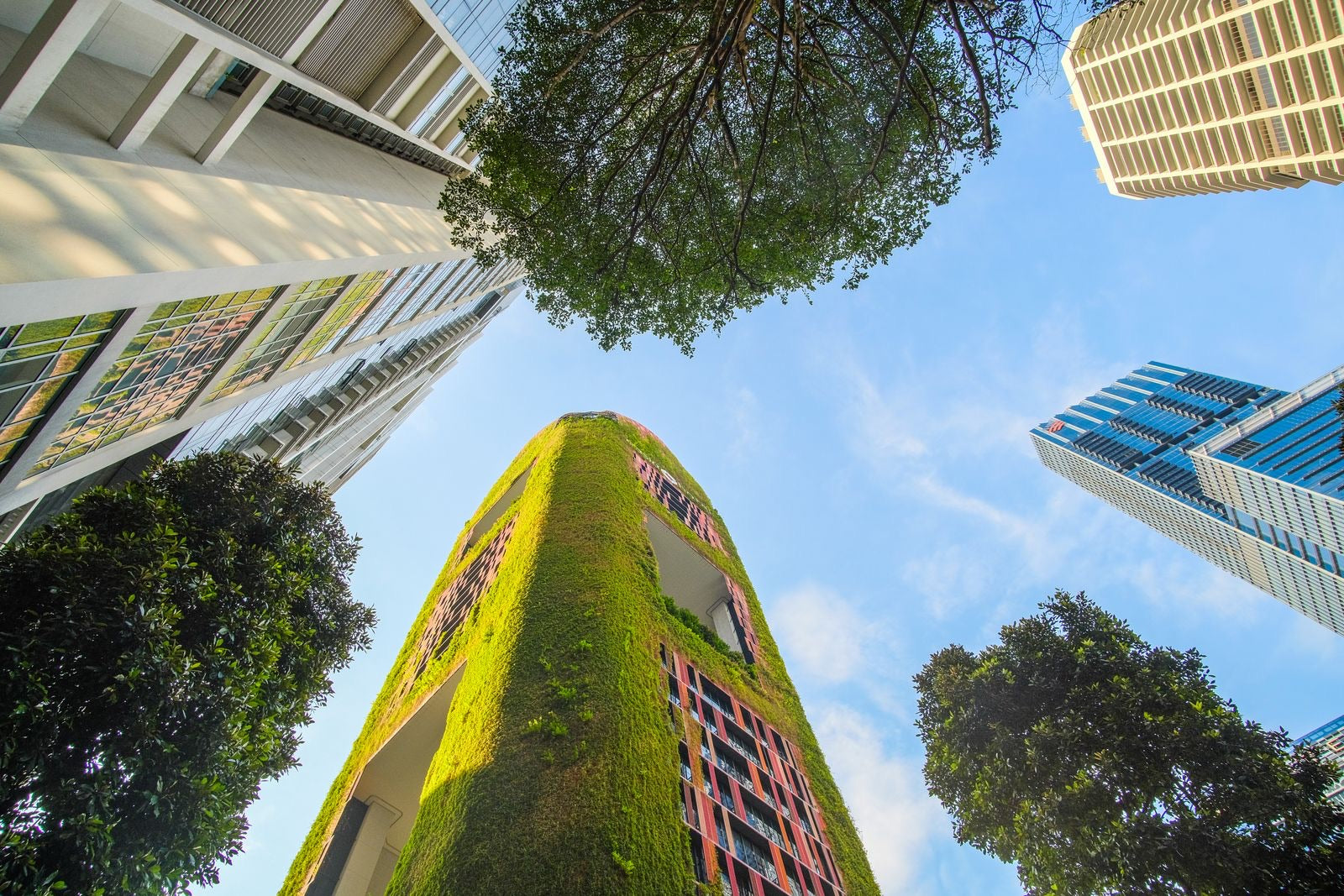 Tower wrapped in a living green facade against a blue sky, the kind of building LEED professionals help create