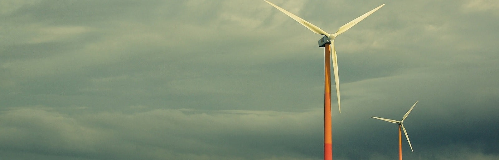 Projectific Privacy Policy