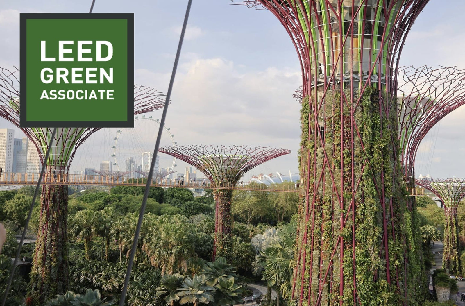 How to Study for the LEED Green Associate Exam (2025-2026 Study Plan)